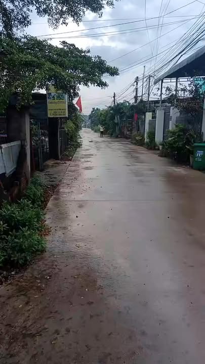 Đất nền Mặt tiền Đường 12, Trảng Bom - 115m² - 1.1 Tỷ - Sẵn Sàng Công Chứng