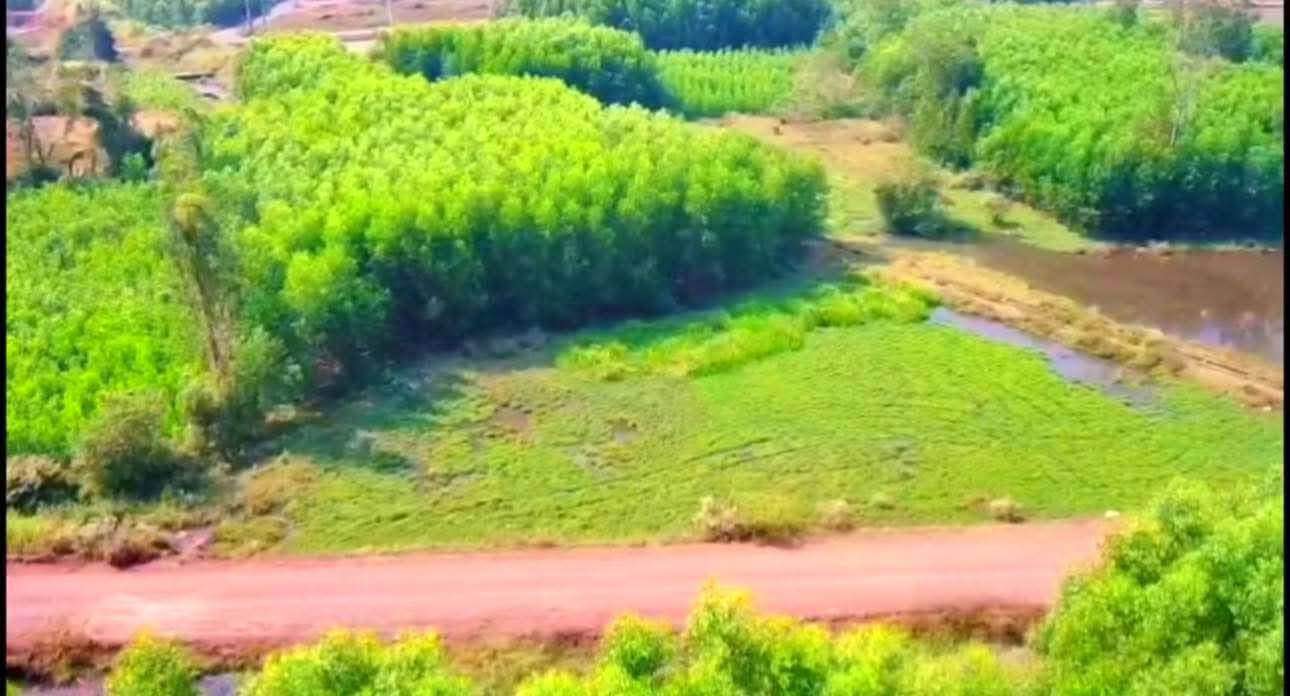 Đất Nền Đất Đỏ BRVT - 504m² Thổ Cư, Mặt Tiền Rộng 77m, Giá 1.5 Tỷ