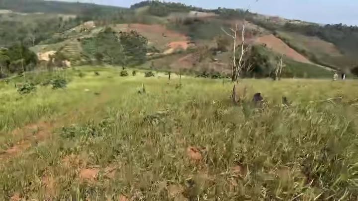 Bán Đất Vườn 70.000m² tại Trường Xuân, TP. Thủ Đức - Giá 5 Tỷ