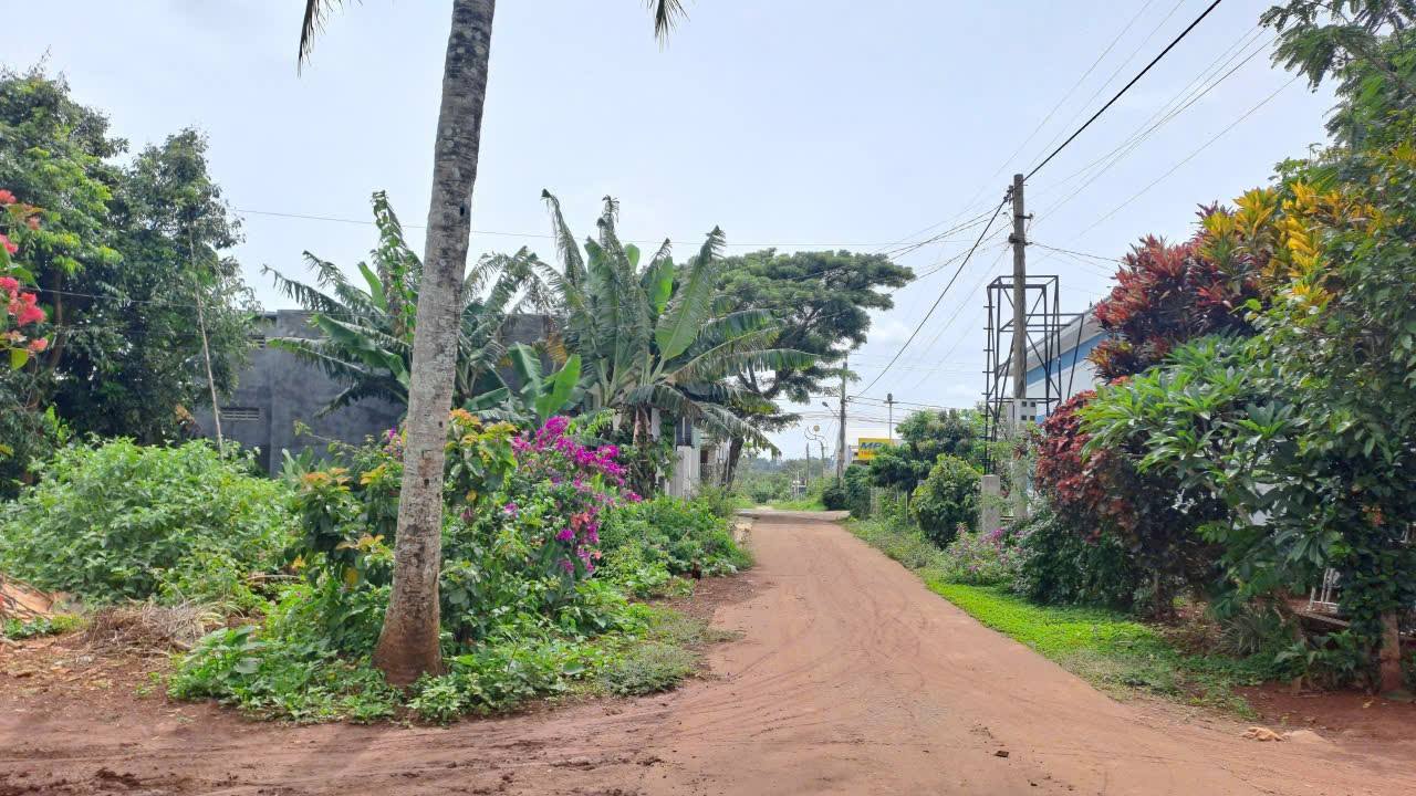 Bán Đất Nền Cư Huê, Ea Kar 240m² Hướng Nam - Sổ Đỏ Sẵn Sàng