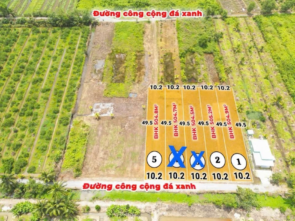 Đất Vườn 500m² Ấp 5 Thạnh Hòa, Bến Lức - Giá 500 Triệu, Sẵn Sổ