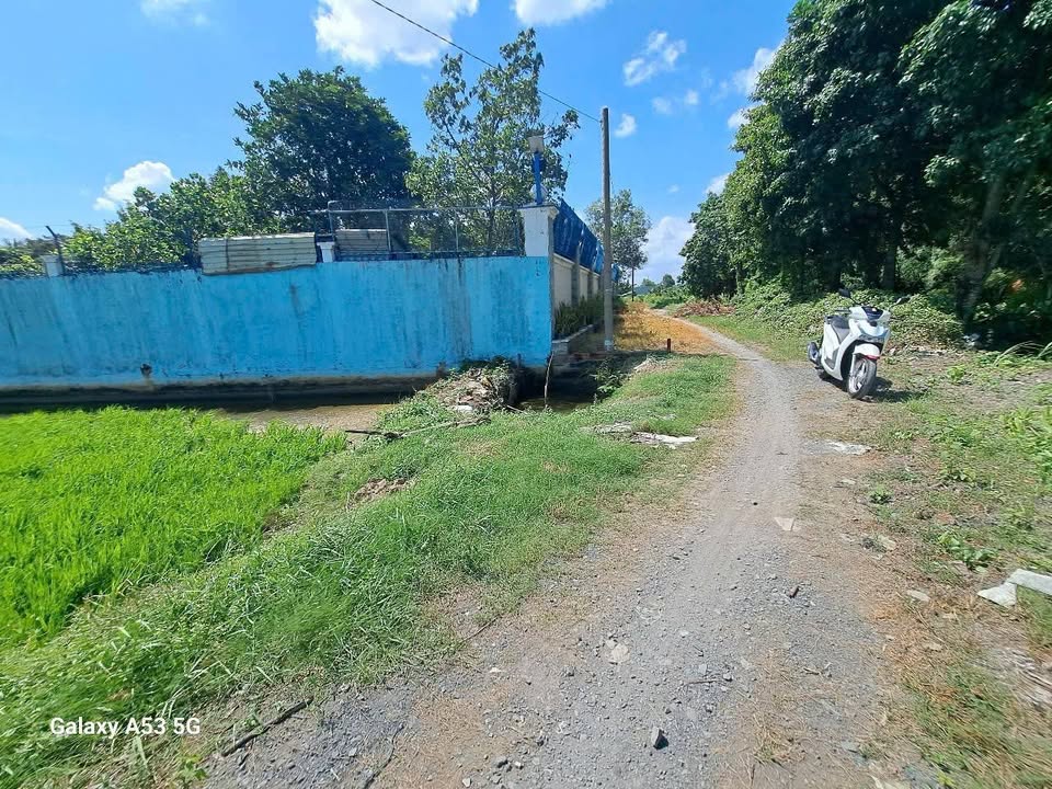 Bán Gấp Đất Vườn 13.850m² Mặt Tiền Đê Rạch Phước Tú - Bến Lức, Long An