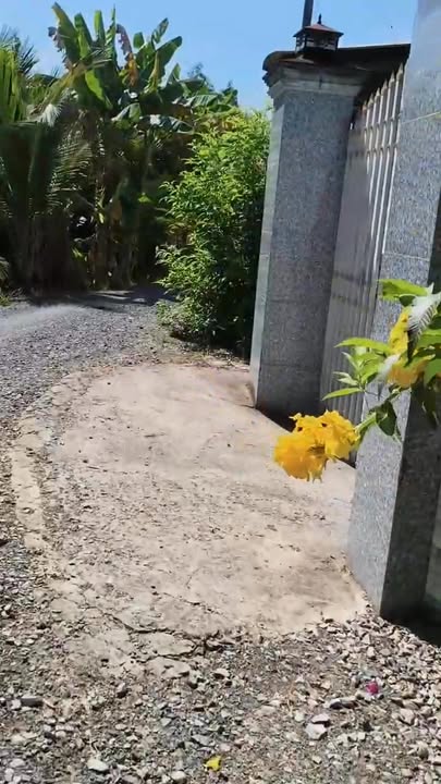 Bán Gấp Đất Vườn 973m² Mặt Tiền Kênh Long An - Giá 2.4 Tỷ