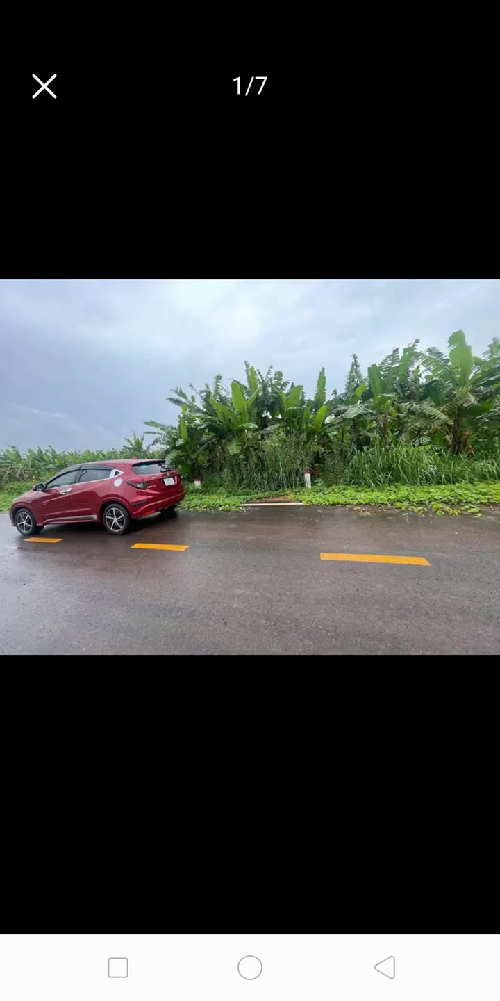 Bán Gấp 4.5ha Vườn Sầu Riêng Tại Thuận An, Bình Dương - Sổ Đỏ Riêng