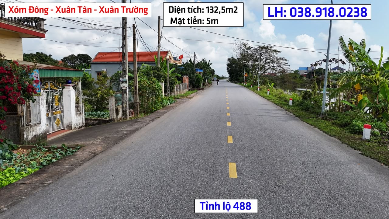 Đất Mặt Tiền Tỉnh Lộ 488 Xuân Trường - 132.5m² Kinh Doanh Sầm Uất
