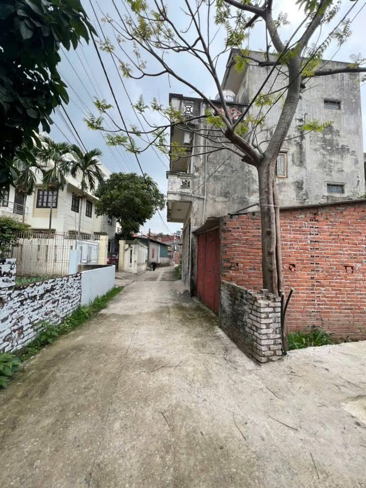 Đất nền Thúy Lĩnh, Hoàng Mai 30m² - Sổ đỏ chính chủ, vị trí đẹp!