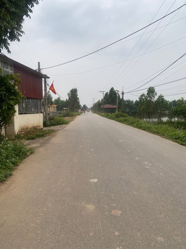 Đất Vườn Cương Sơn Lục Nam 146m² - Sổ Đỏ Vuông Vắn, Ô Tô Tránh