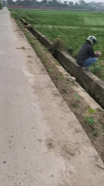 Đất Bắc Giang 100m² Full Thổ Cư - Giá Hời 1 Tỷ Nhỏ