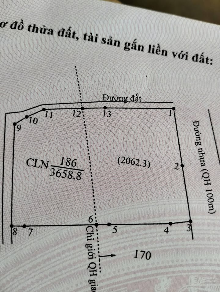 Bán đất mặt đường tránh Km 72, Ea Nam, Ea H'leo - 3700m² có 8 cây sầu riêng