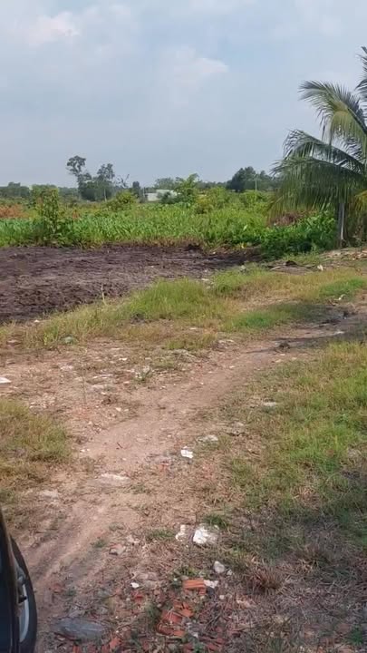 Bán Đất Vườn Dầu Tiếng 1300m² Sổ Đỏ Chính Chủ - Giá Đầu Tư 2 Tỷ