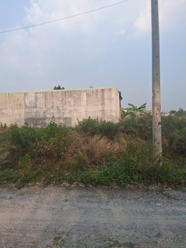 Đất nền Hòa Lợi, Bến Cát 350m² - Tiềm năng tăng giá vượt trội!