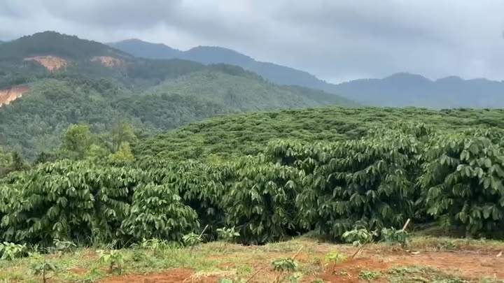 Đất nền Lộc Châu Bảo Lộc 3240m² - Sổ đỏ chính chủ, đường xe tải!