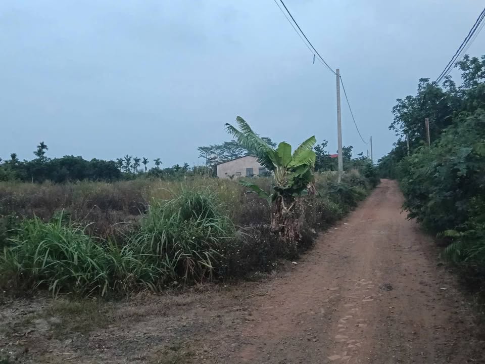 Đất nền Quỳnh Ngọc, Quỳnh Lưu 864m² - Sổ đỏ chính chủ!