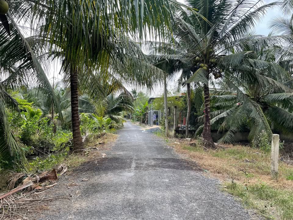 Đất nền Chợ Gạo 192m² giá 415 triệu - Giá F0 CĐT, View kênh!