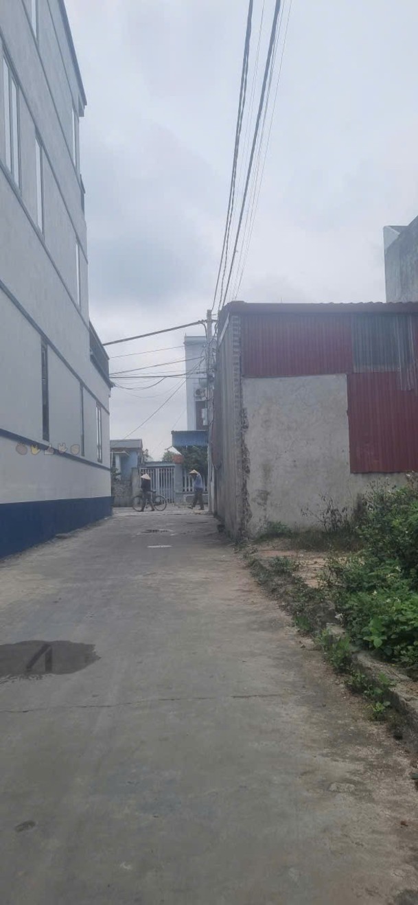 Đất Nền Tam Kiệt, Kiến Thụy, Hải Phòng – 63m² Sổ Đỏ Chính Chủ