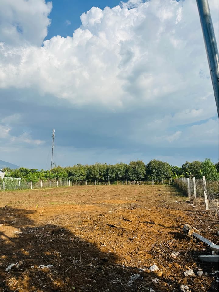 Đất nền Long Khánh 115m² chỉ 990 triệu - Đất thổ cư 100%