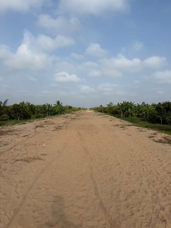 Kho Xưởng 10000m² Mặt Tiền Lộ 80m Cái Răng, Cần Thơ - Giá 23 Tỷ