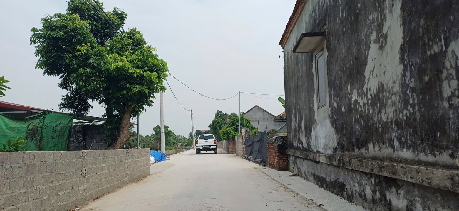 Đất nền Cẩm Ninh 93.1m² - Sổ đỏ chính chủ, đường ô tô tránh!