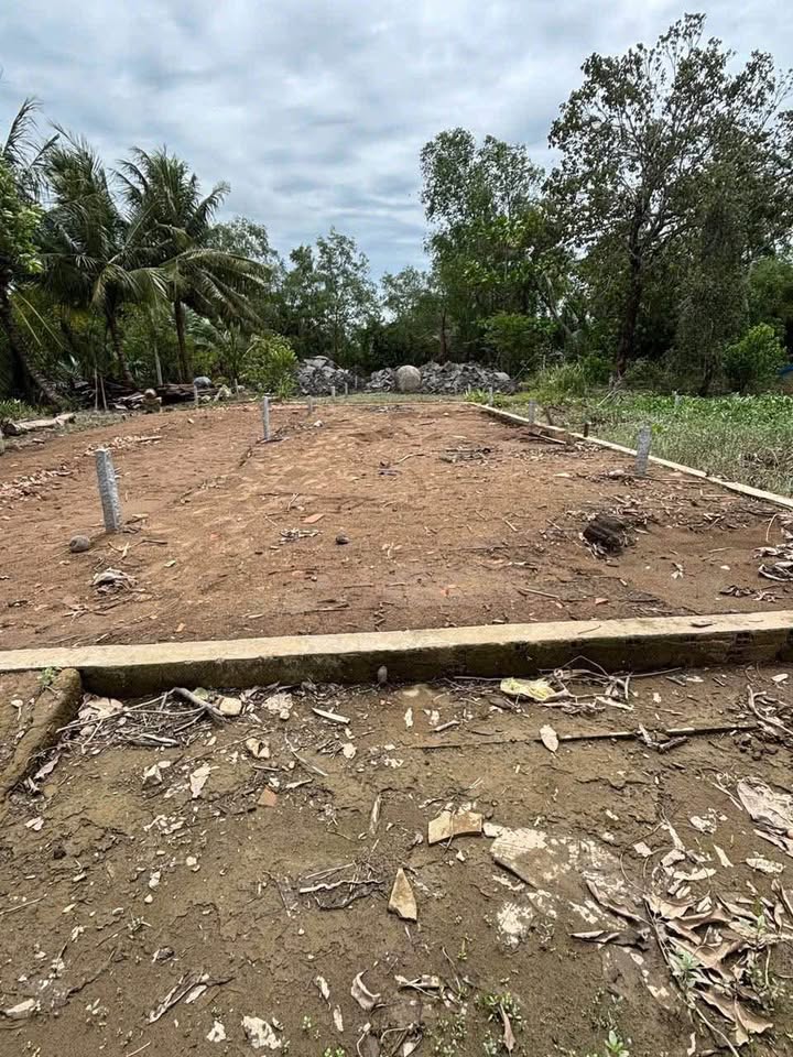 Bán gấp Đất Vĩnh Long 265m² Sổ hồng Thổ cư - Ngay Chợ Trà Má