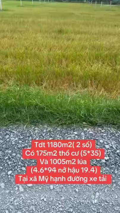 Đất nền Đức Hòa Thượng 1180m² - Nở hậu, tiềm năng tăng giá