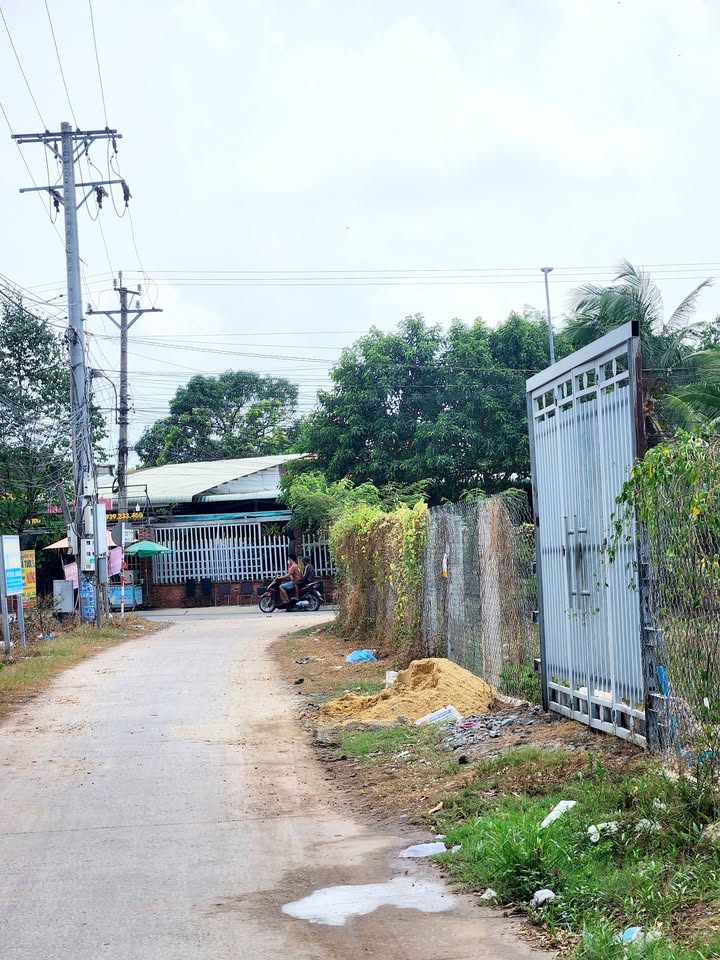 Bán đất nền Mỹ Hạnh Nam 280m² (5x56m) sổ đỏ, giá 2.5 tỷ - Sẵn sàng kinh doanh