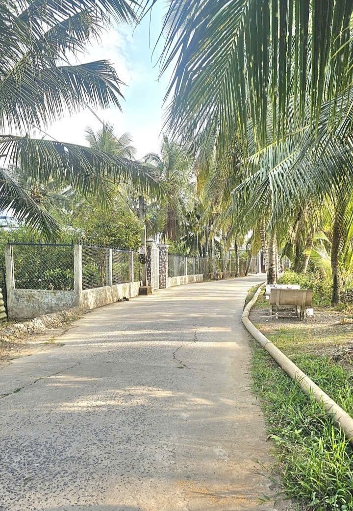 Đất nền Long Tuyền Cần Thơ 116m² - Đường ô tô vào tận nơi!