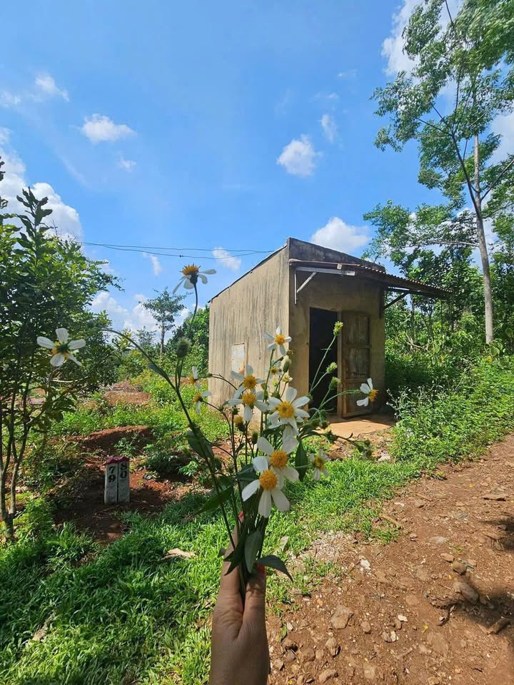 Đất nền Buôn Hồ Thống Nhất 360m² 379 triệu - Tăng giá