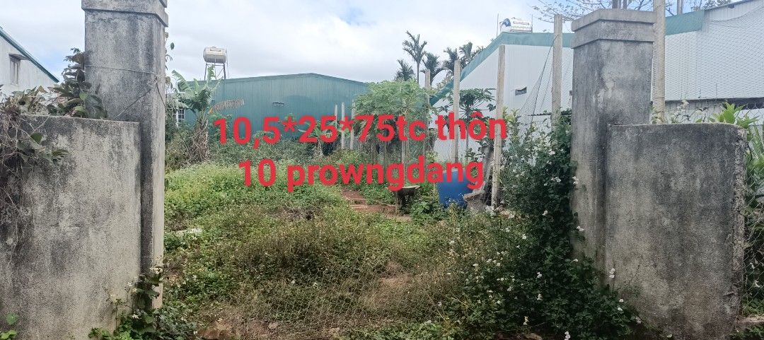 Đất Nền Sông Cầu - 262m² Thổ Cư, Sẵn Sàng Xây Nhà Đẹp