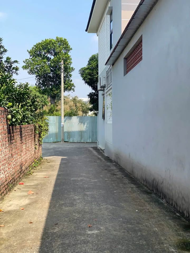 Đất Xóm Núi, Tiên Hùng, Hải Phòng - 60m² Sổ Đỏ Sẵn Sàng