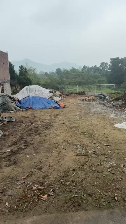 Đất nền Phường Quán Triều, Thái Nguyên 200m² - 700 triệu, Mặt tiền rộng thoáng