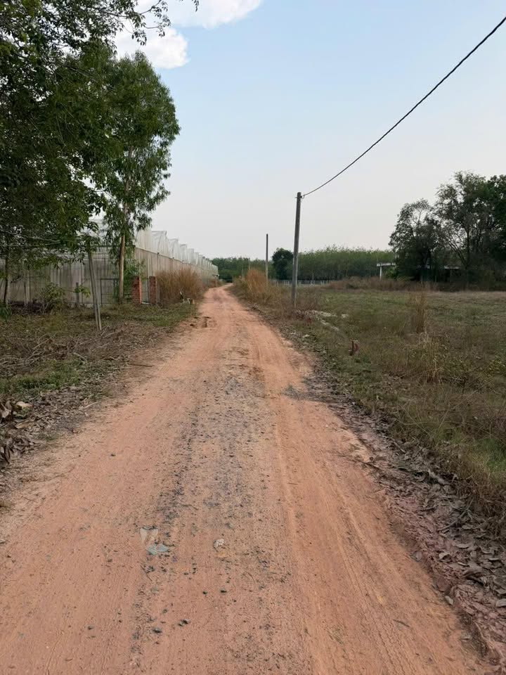 Đất nền Ấp Cầu Tân Biên 165m² - Đường to ô tô, xây dựng tự do!