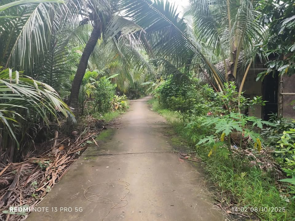 Đất vườn Tân Thành Bình 1.687m² 843.5tr - Giá đầu tư tốt