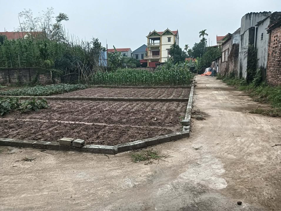 Đất nền Bạch Hạ, Phú Xuyên 80.8m² - Đường to ô tô, giá đầu tư tốt!