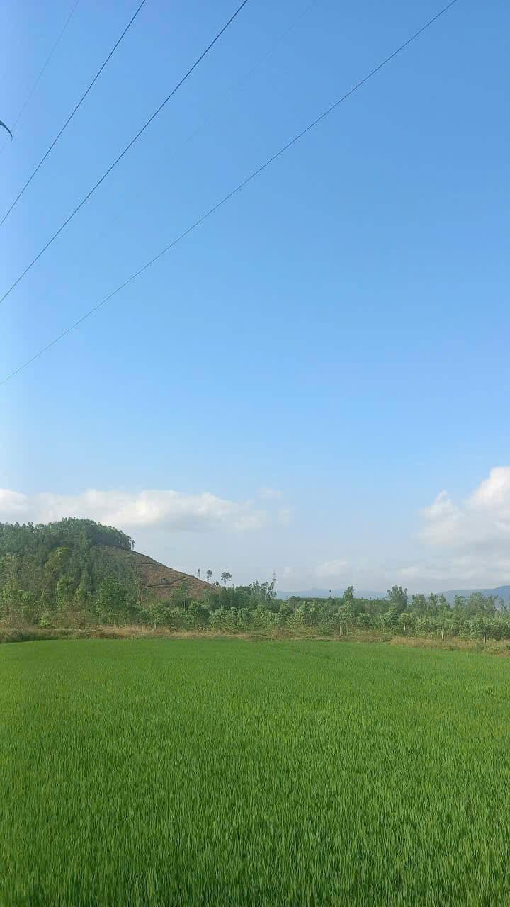 Đất nền Tây Phú, Tây Sơn 642m² - Tiềm năng tăng giá vượt trội!