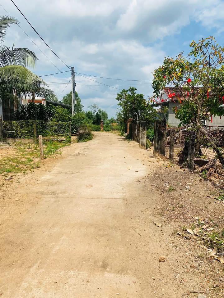 Đất Sổ Hồng Bình Nghi, Tây Sơn 100m² - Giá Chỉ 2xx Triệu