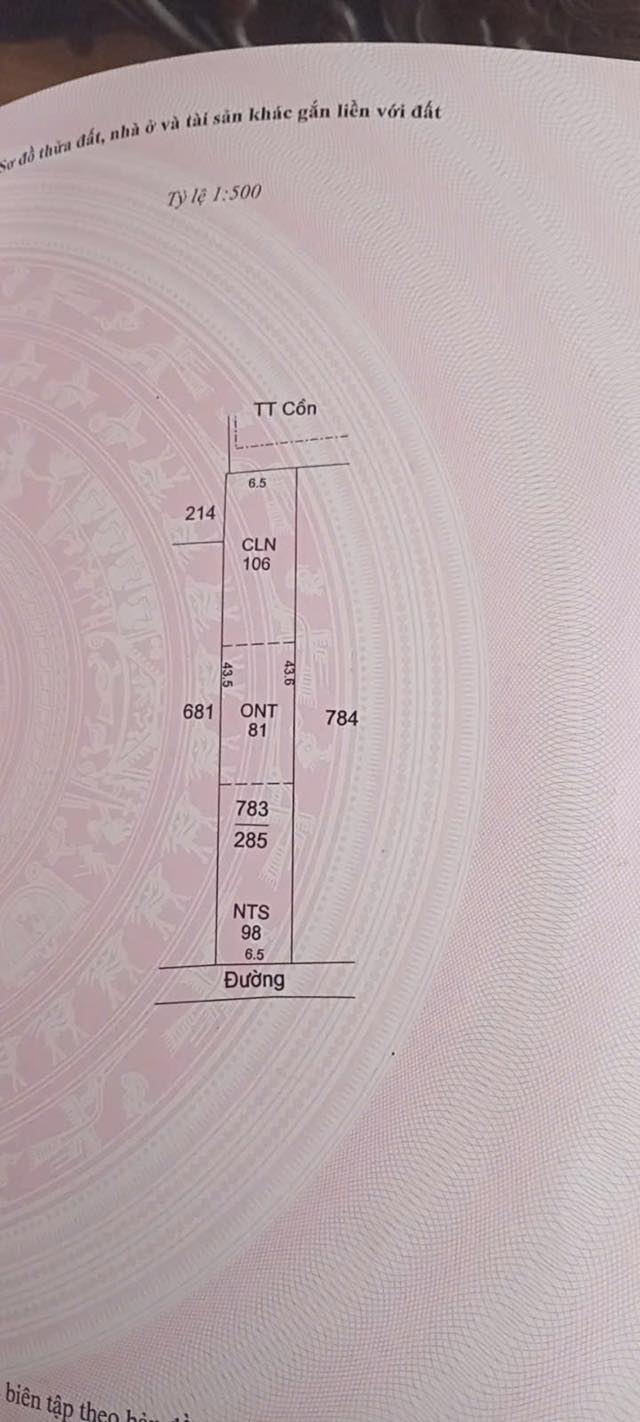 Bán Đất Hải Hậu Nam Định 285m² - Mặt Tiền Nam Rộng 6.5m