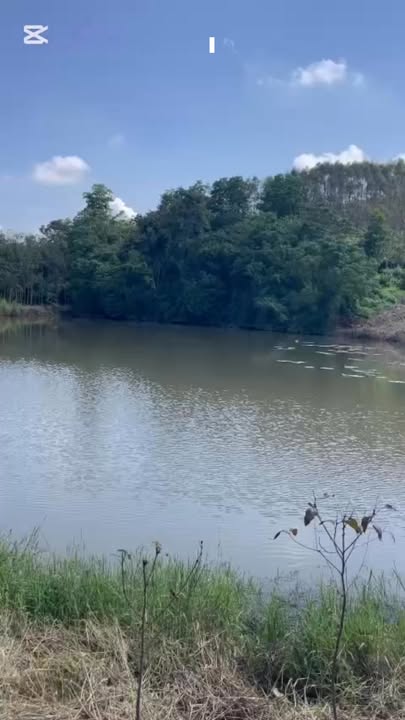 Đất Nền Lục Ngạn, Bắc Giang 11.000m² - View Hồ Tuyệt Đẹp, Sổ Đỏ Sẵn