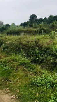 Đất Vườn 3500m² Hòa Bình - Sổ Đỏ Riêng Từng Lô - Tiềm Năng Sinh Lời Cao