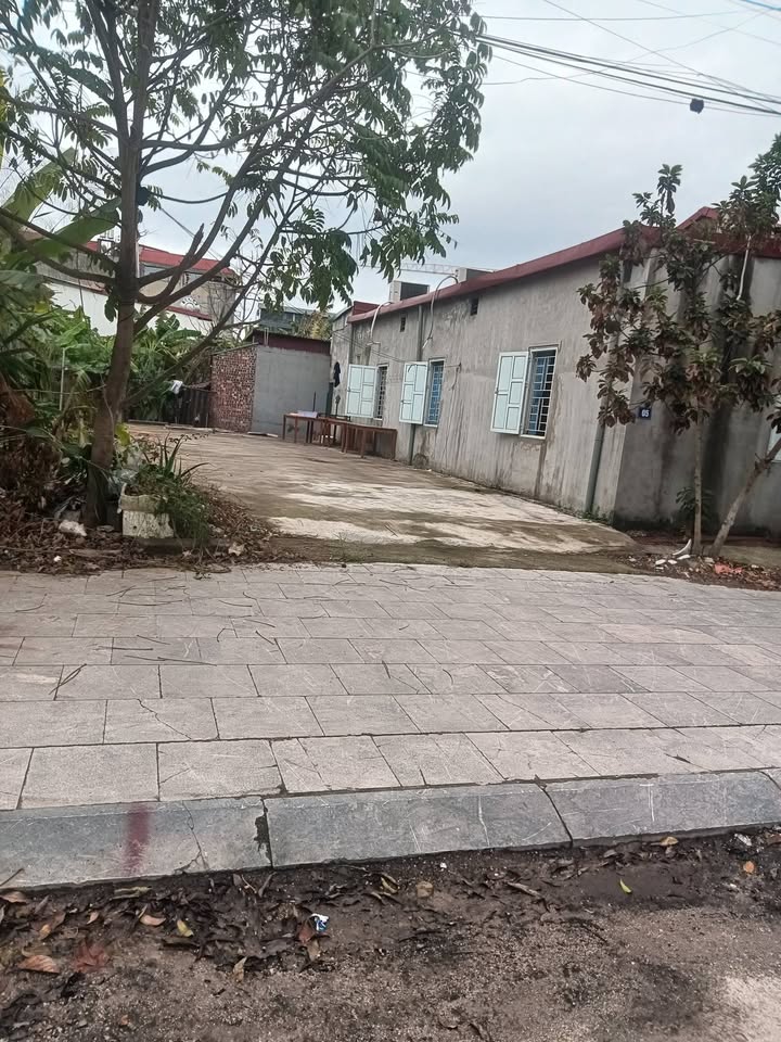 Đất nền Phường Hồng Thái, Việt Yên 90m² - Trung tâm kinh doanh, giá thương lượng