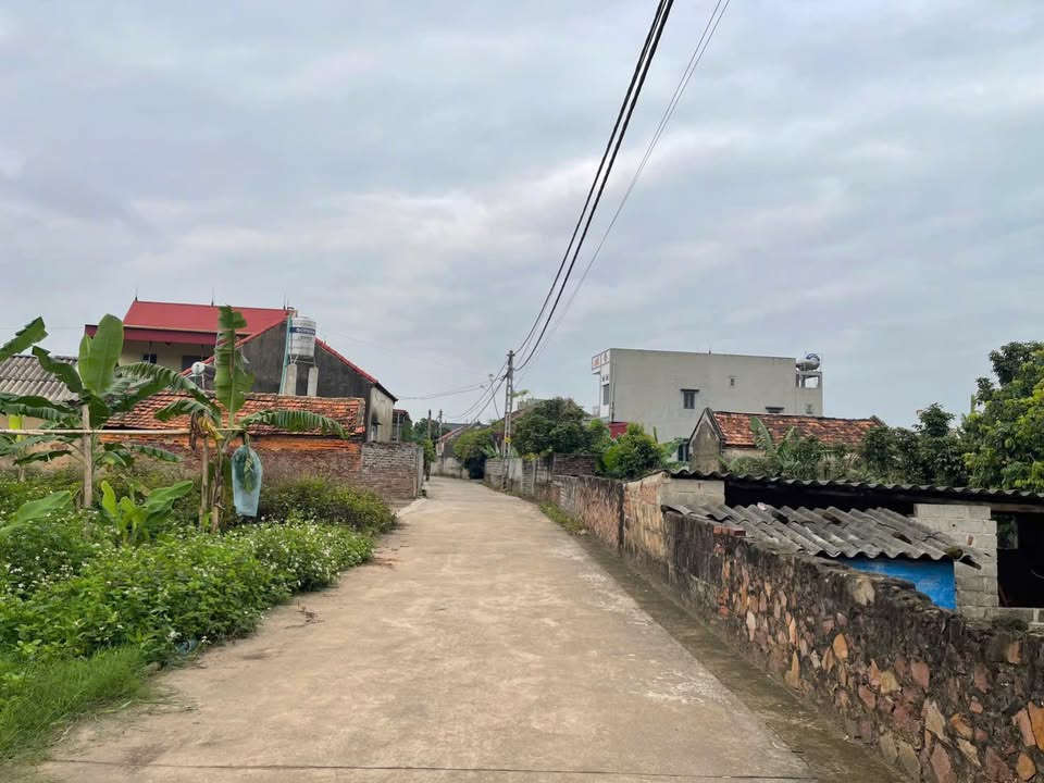 Bắc Giang: Đất Nền 85m² Thôn Nghè 3, Lục Nam - Giá 5xx Triệu, Sổ Đỏ Sẵn Sàng