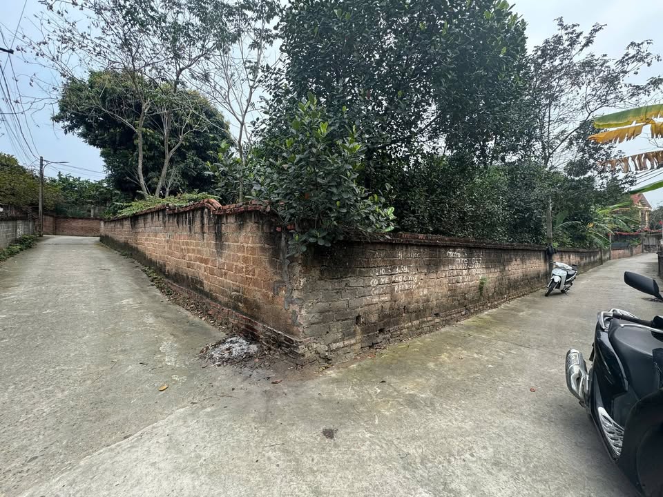 Đất nền Thụy Vân, Việt Trì 160m² - Sổ đỏ chính chủ, ô tô vào tận nơi!