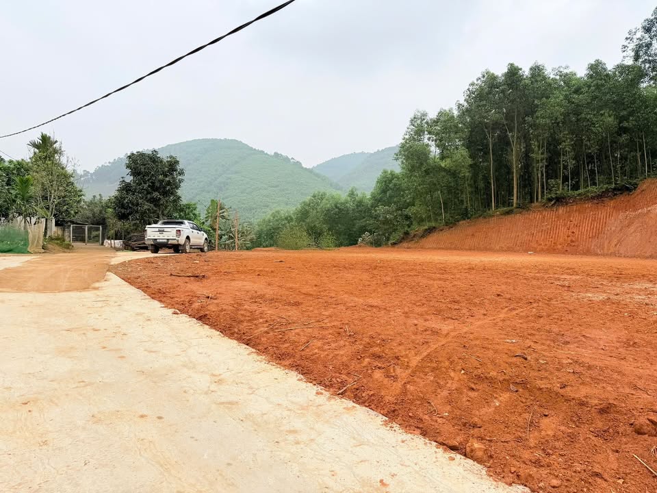 Đất nền Đan Thượng, Phú Thọ 1000m² – Tiềm năng tăng giá vượt trội!