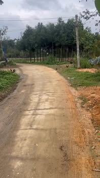 Đất nền Hưng Long Yên Lập 208m² 4xx triệu - Sổ đỏ