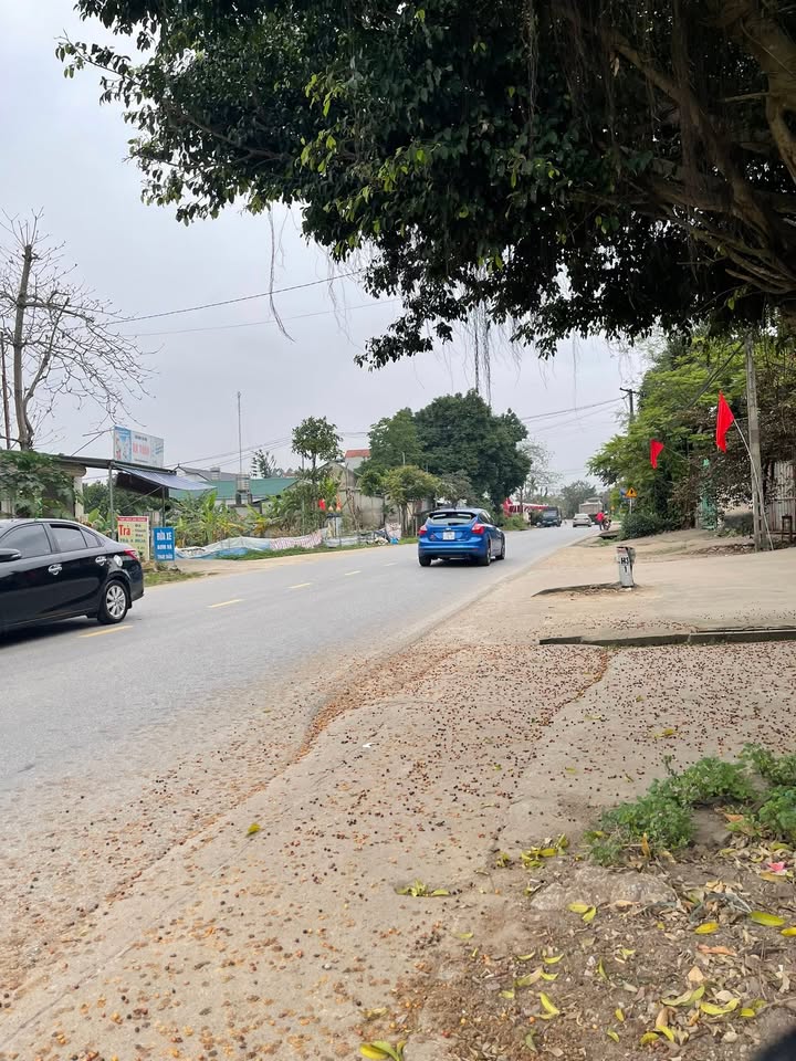 Bán Đất Nền 165m² QL 32 Phú Thọ - Sẵn Sàng Xây Dựng