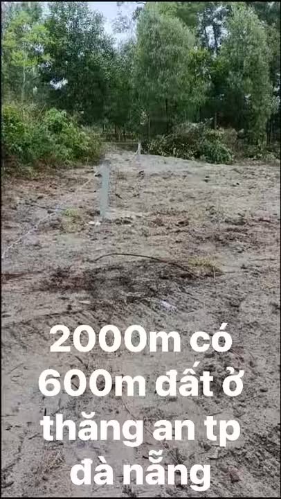 Đất nền Thăng An, Thăng Bình 2000m² - Sổ hồng chính chủ