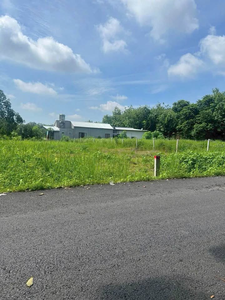 Đất nền Mỹ Phước Bến Cát 200m² - Vị trí đắc địa, sẵn sổ, hỗ trợ ngân hàng