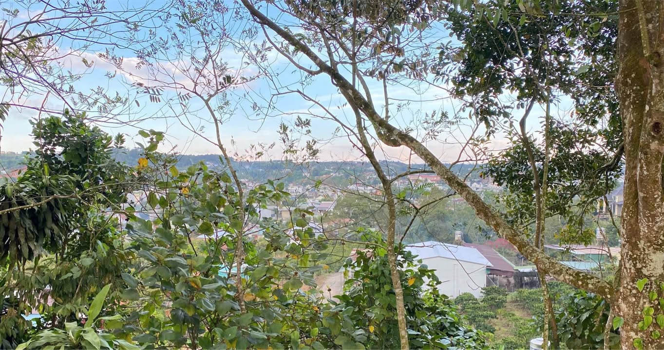 Đất nền Lộc Châu Bảo Lộc 1024m² giá 750 triệu - Sổ đỏ chính chủ