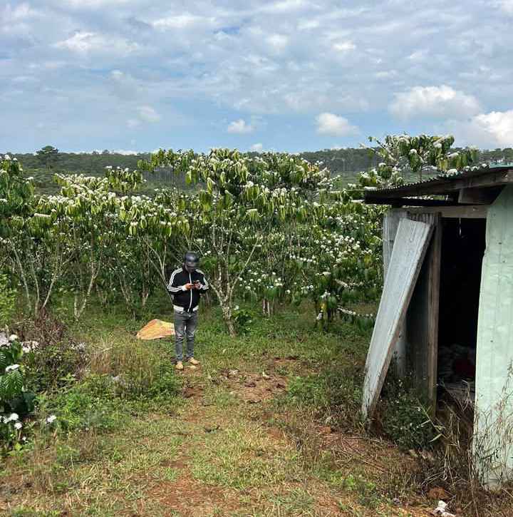 Đất nền Thôn 9, Lộc Ngãi, Bảo Lâm 5000m² - Pháp lý rõ ràng!