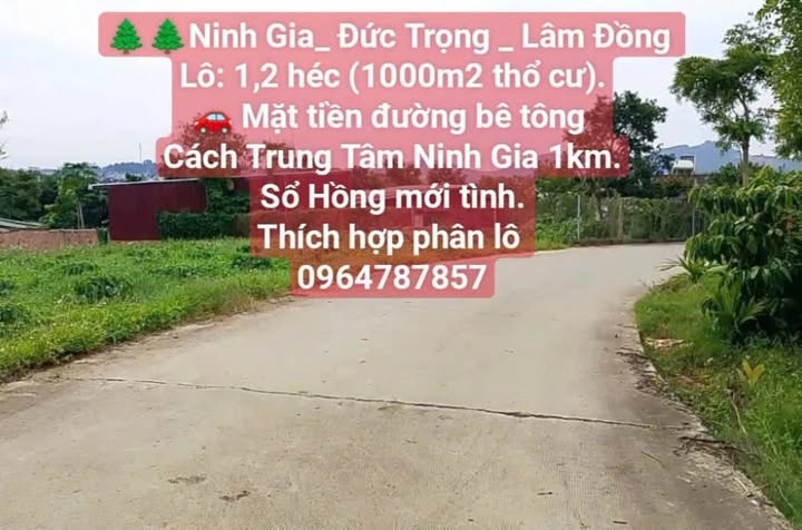 Đất Nền Đức Trọng - 12.000m² Thổ Cư Mặt Tiền Đường Bê Tông