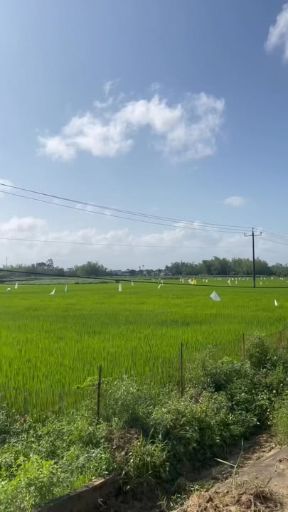 Đất Nền Lô Góc 331m² Mặt Tiền Lê Thị Hồng Gấm, Nam Phước - Giá 1.x Tỷ